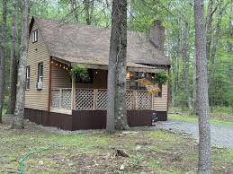 Cozy cabin in the woods Evart