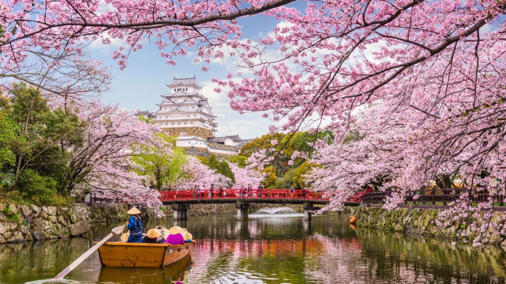 Practical Travel Tips for Visiting the Best Places to Visit in Japan