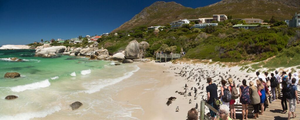 Boulders Beach