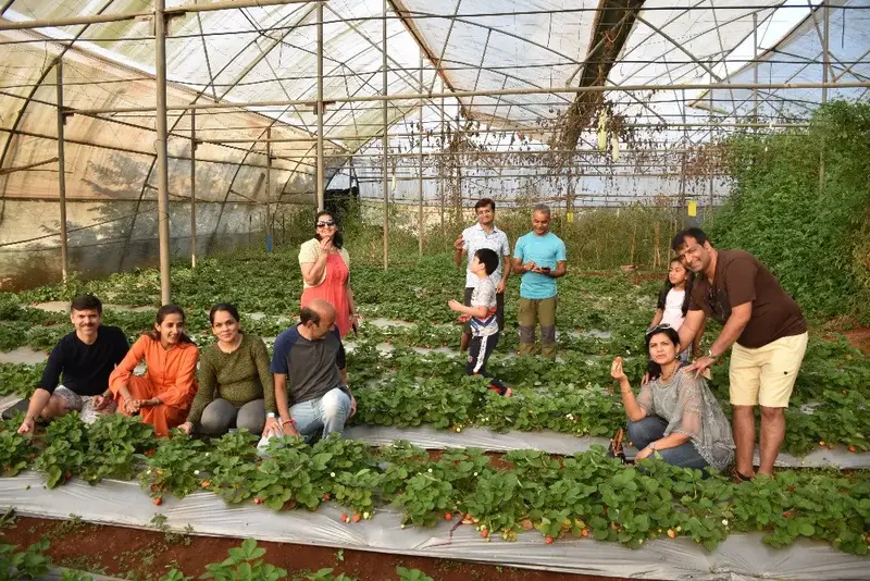 Farm Stay or Agritourism Experience