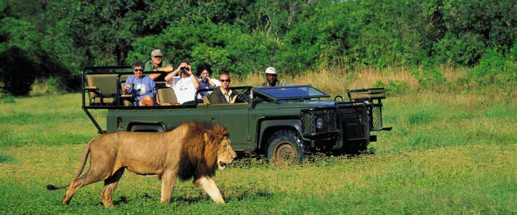 Wildlife Safari or Eco-Lodge Experience