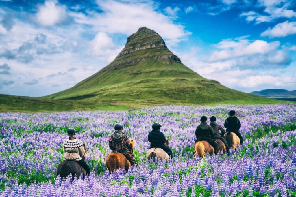 Summer Travel in Iceland