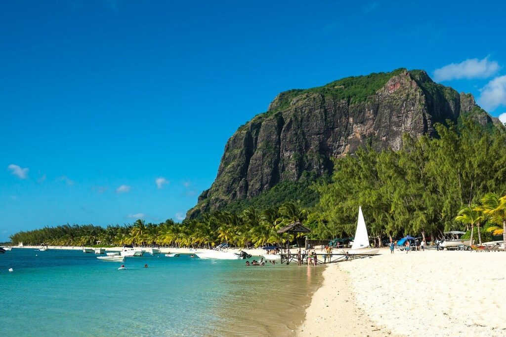 MyTrip Features and Services