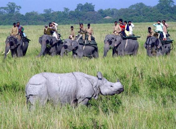 National Parks That Inspire Wonder and Learning