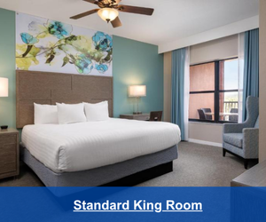 Standard King Room