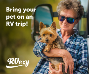 rvezy-pets