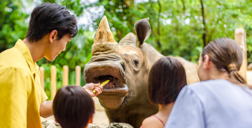 Best Time to Visit Singapore Zoo