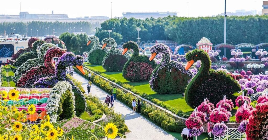 Miracle Garden Dubai Ticket Prices Explained