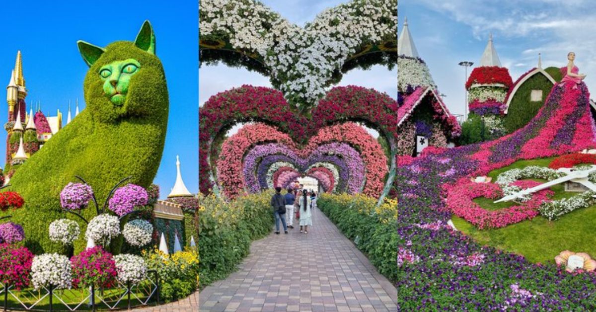 Dubai Miracle Garden Tickets