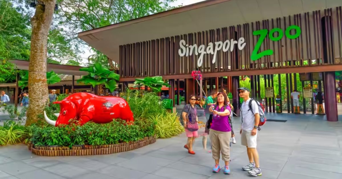 Singapore Zoo Tickets