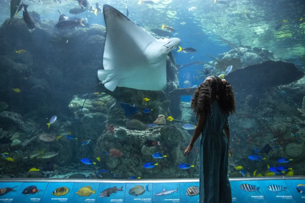 Skip-the-Line and Timed Entry Tickets