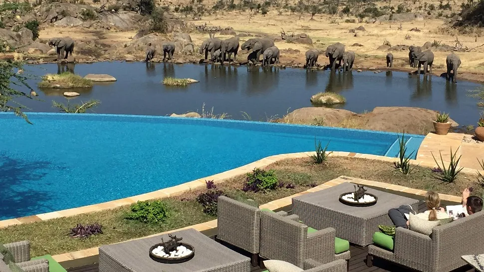 Five Beautiful Swimming Pools