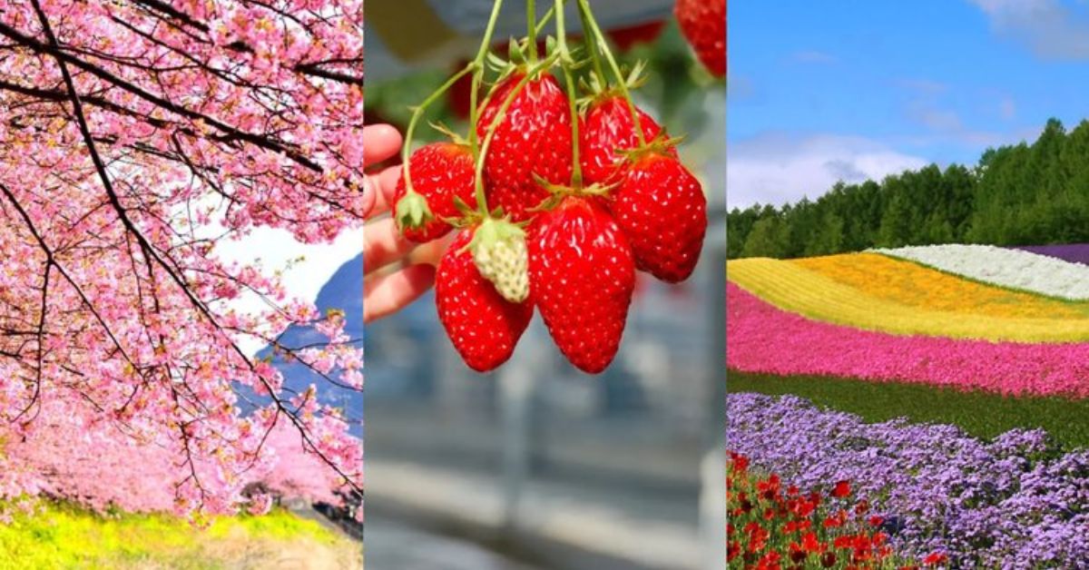 Best Places to Visit in Spring