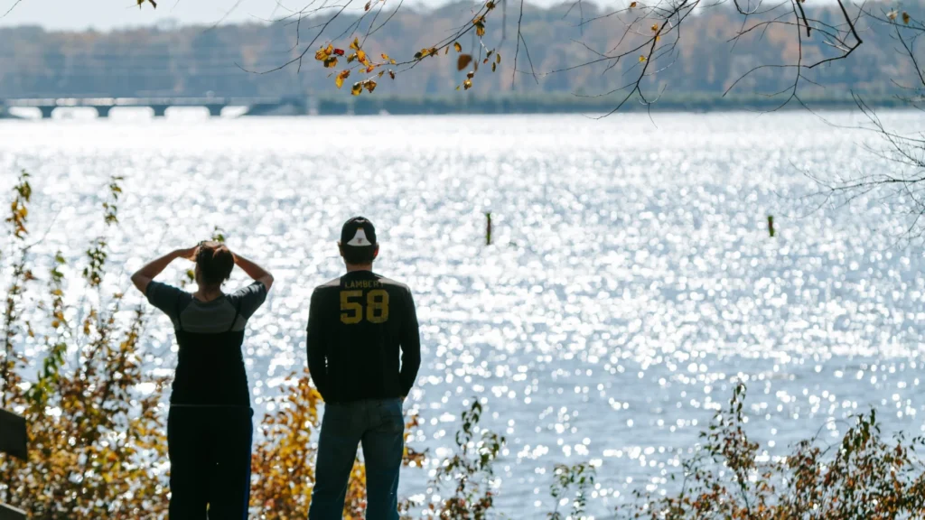 Budget Dining and Food Costs