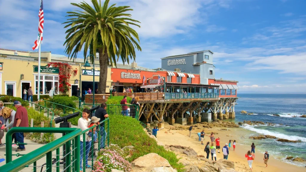 Coastal and Beach Best Things to Do in California
