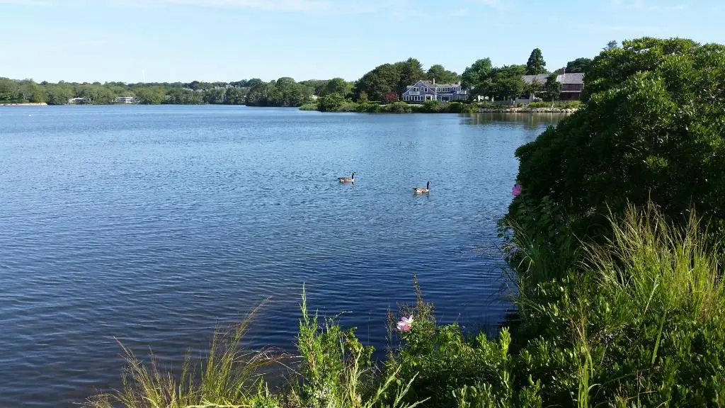 Explore Ashumet Holly Wildlife Sanctuary Nearby