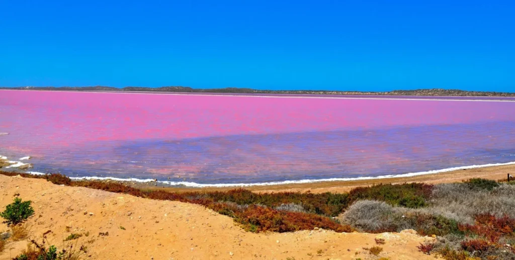 Explore Pink Lake