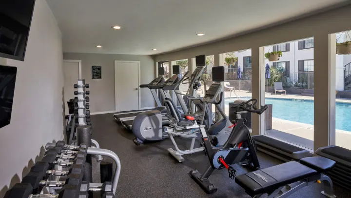 Fitness and Wellness Amenities