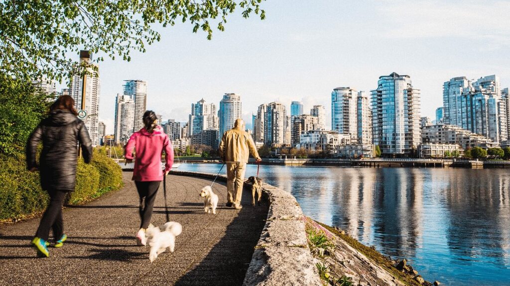 Food and Market Best Things to Do in Vancouver