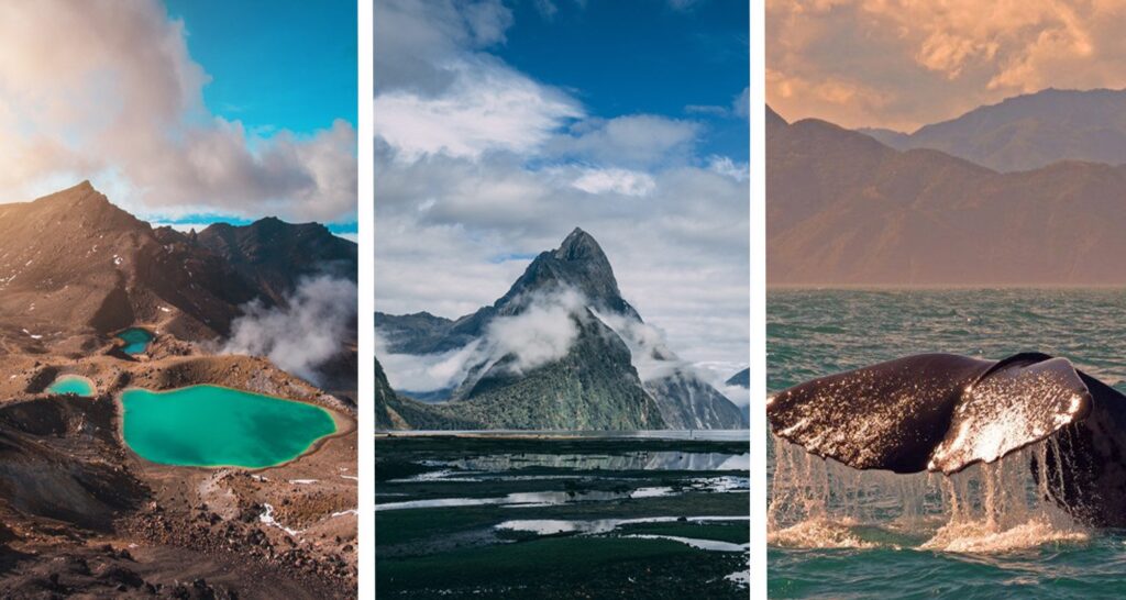 North Island vs South Island Driving