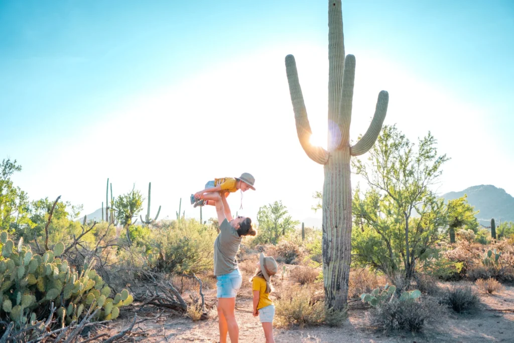 Saguaro National Park