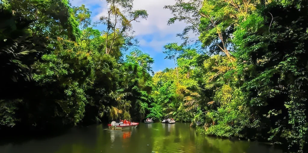 Tortuguero National Park Wildlife and Canals