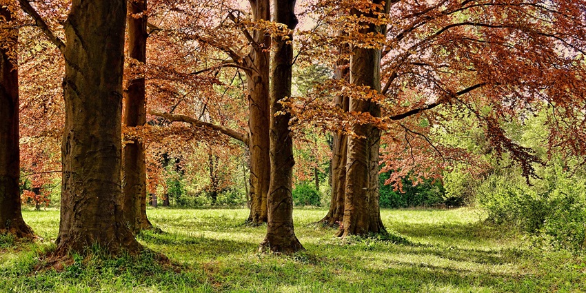 Unique Experiences Best Things to Do in Ashland