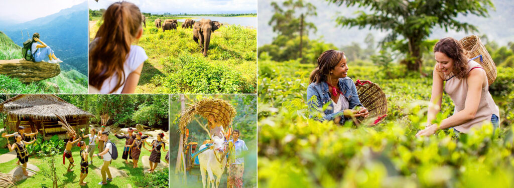 Unique and Cultural Experiences in Sri Lanka