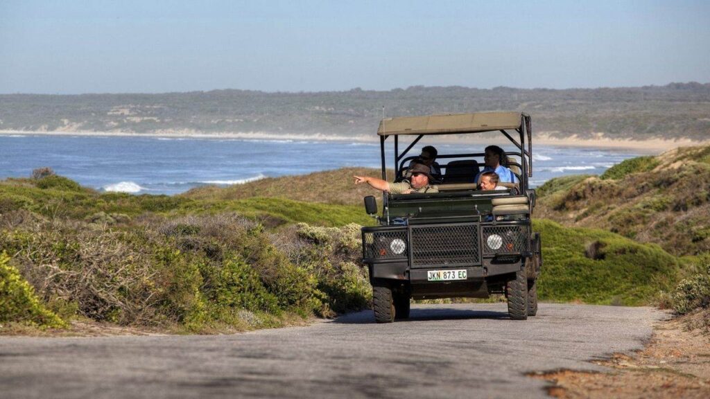 Visit Cape Recife Nature Reserve