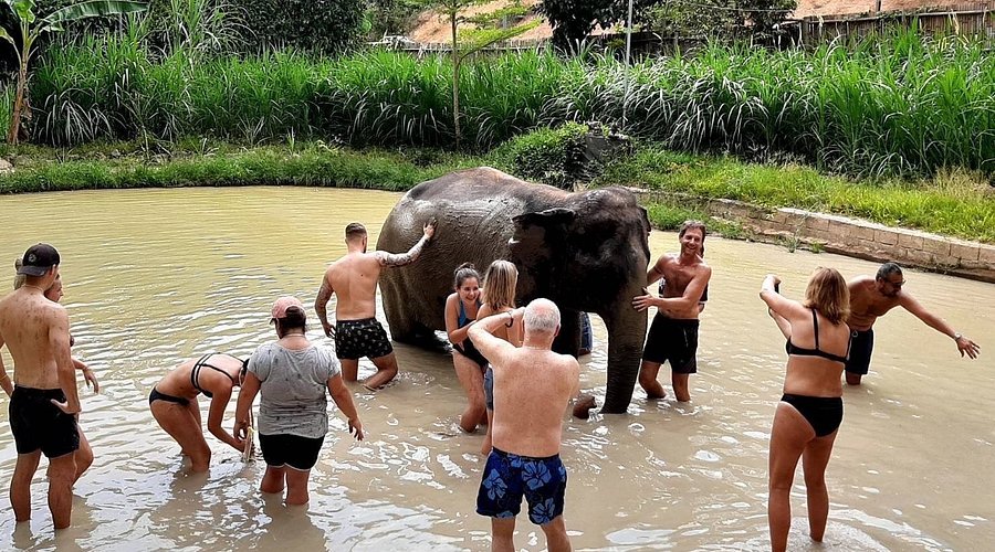 Visit Phuket Elephant Sanctuary