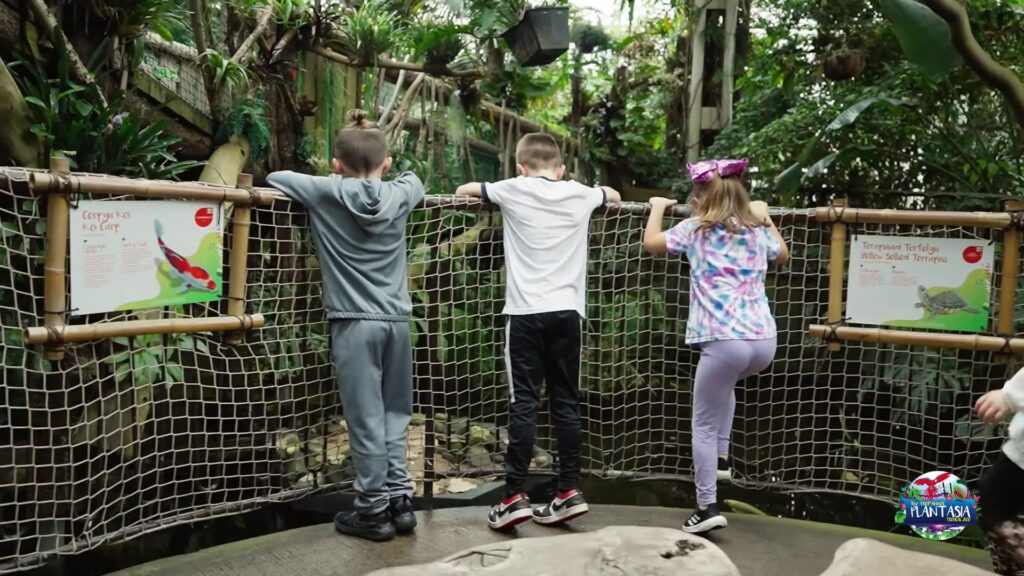 Visit Plantasia Tropical Zoo