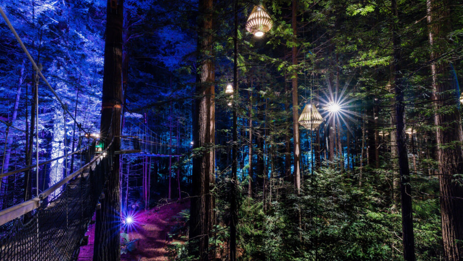 Visiting the Redwoods in Winter (December to February)