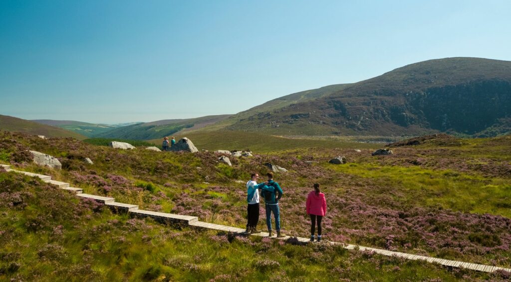 Walk in the Wicklow Mountains
