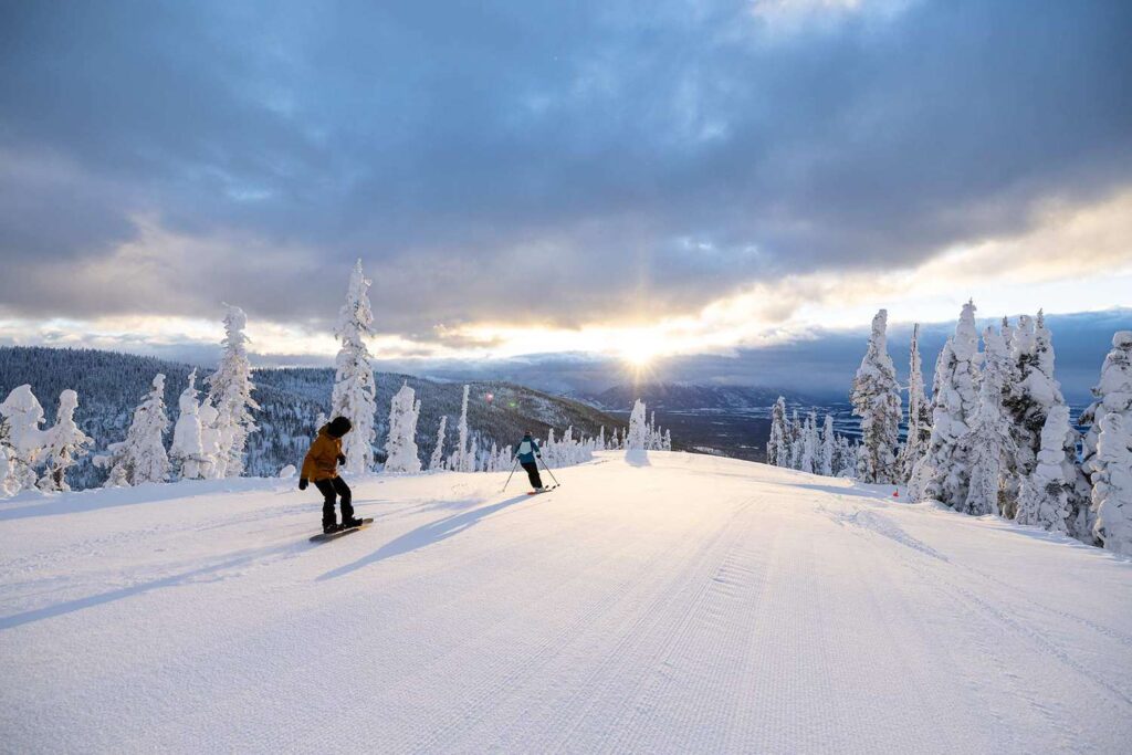 Whitefish