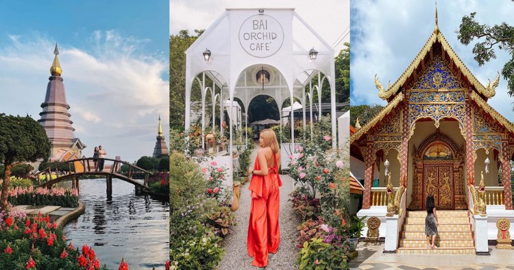 Wildlife and Adventure Best Things to Do in Chiang Mai