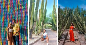 Best Things to Do in Phoenix