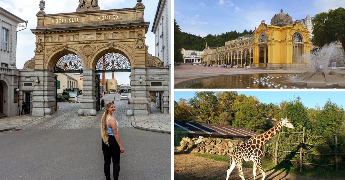 Best Things to Do in Pilsen