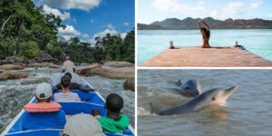 Best Things to Do in Suriname