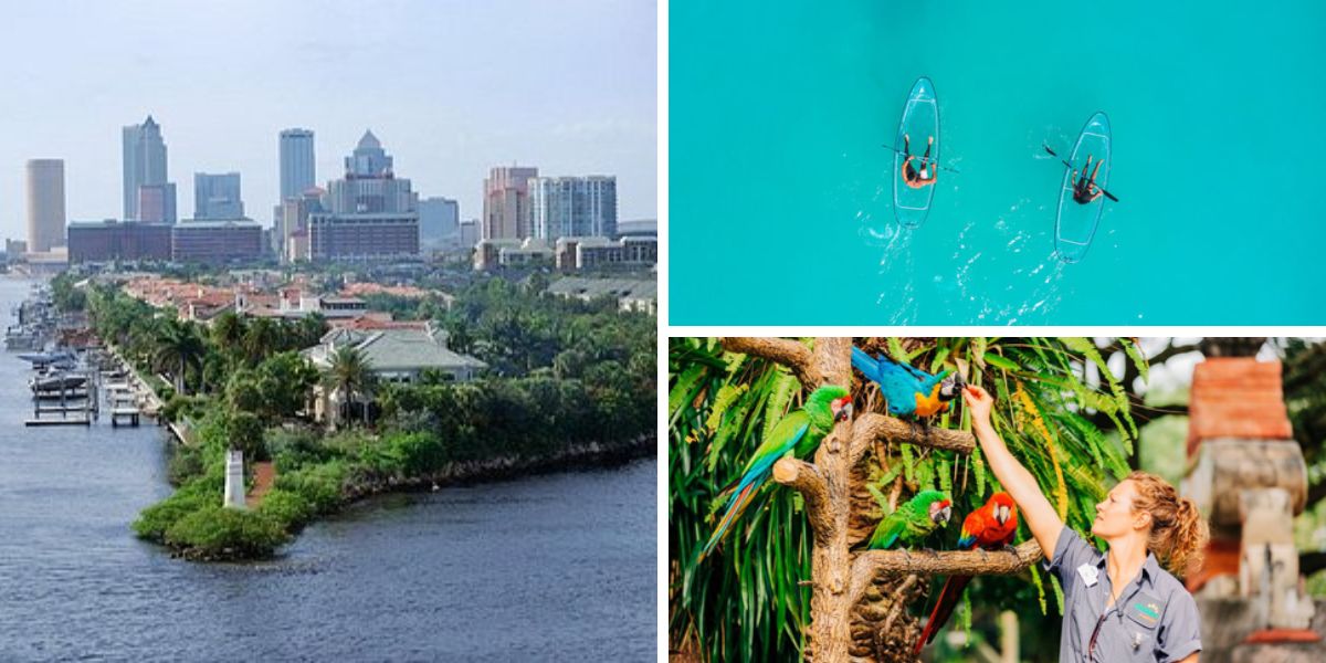 Best Things to Do in Tampa