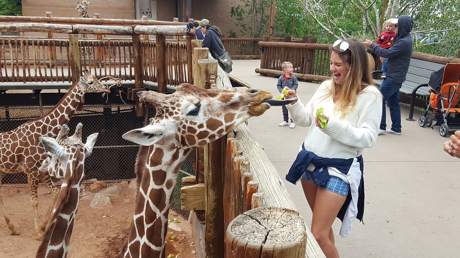 Explore Cheyenne Mountain Zoo