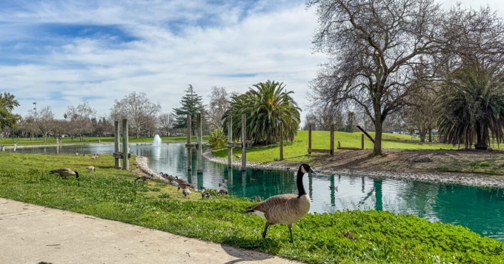 Explore Elk Grove Regional Park