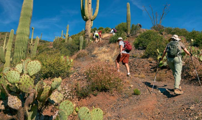 Explore the McDowell Sonoran Preserve