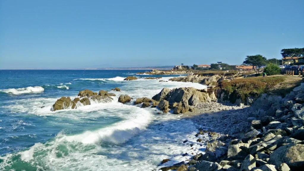 Explore the Monterey Bay Area