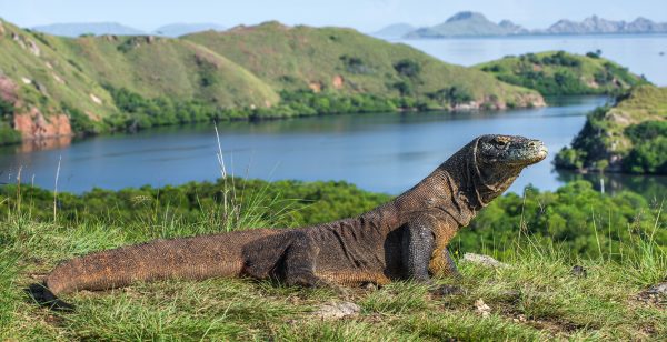 Komodo National Park