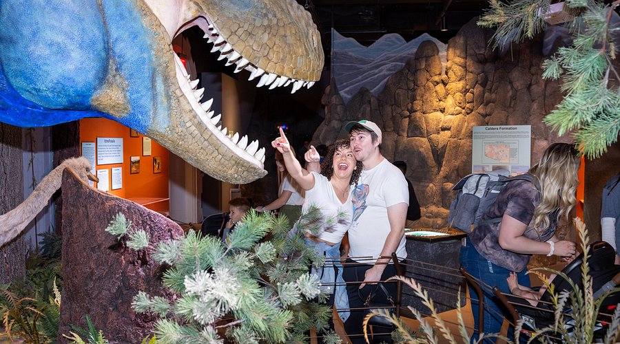 Visit the Arizona Museum of Natural History Nearby