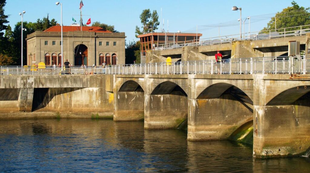Visit the Ballard Locks