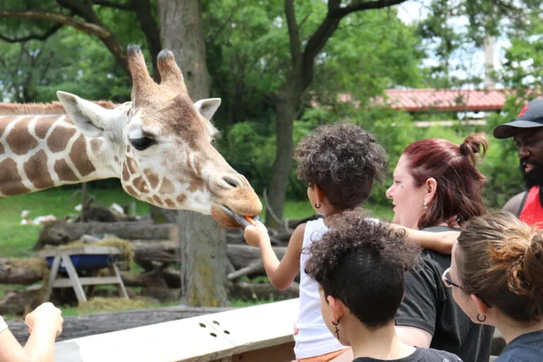 Visit the Indianapolis Zoo