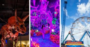 best things to do in houston