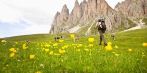 Best Hiking Destinations Around the World