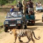 Best National Parks for a Family Adventure